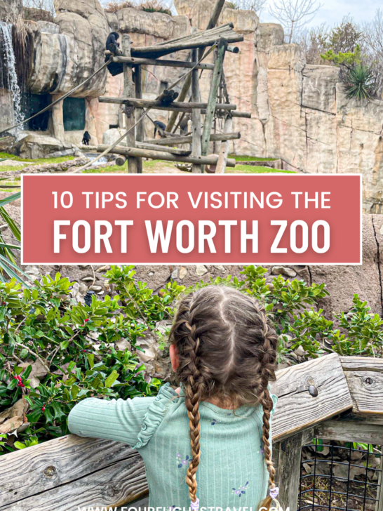 10 tips for visiting the fort worth zoo