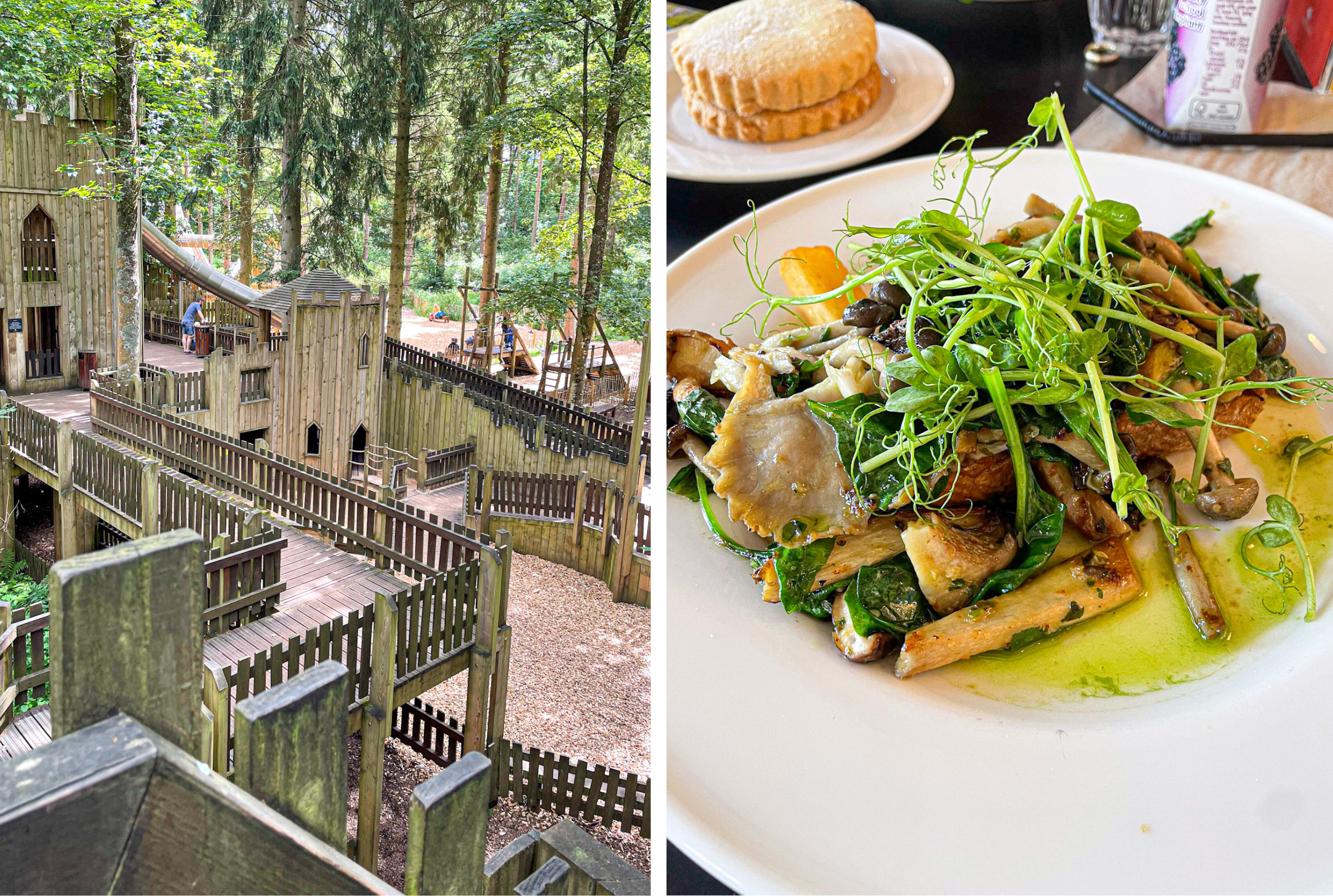 Side by side photos, the first showing the wooden lost castle adventure castle at lowther castle in penrith and the second shows a mushroom and greens dish at the Lowther castle cafe.