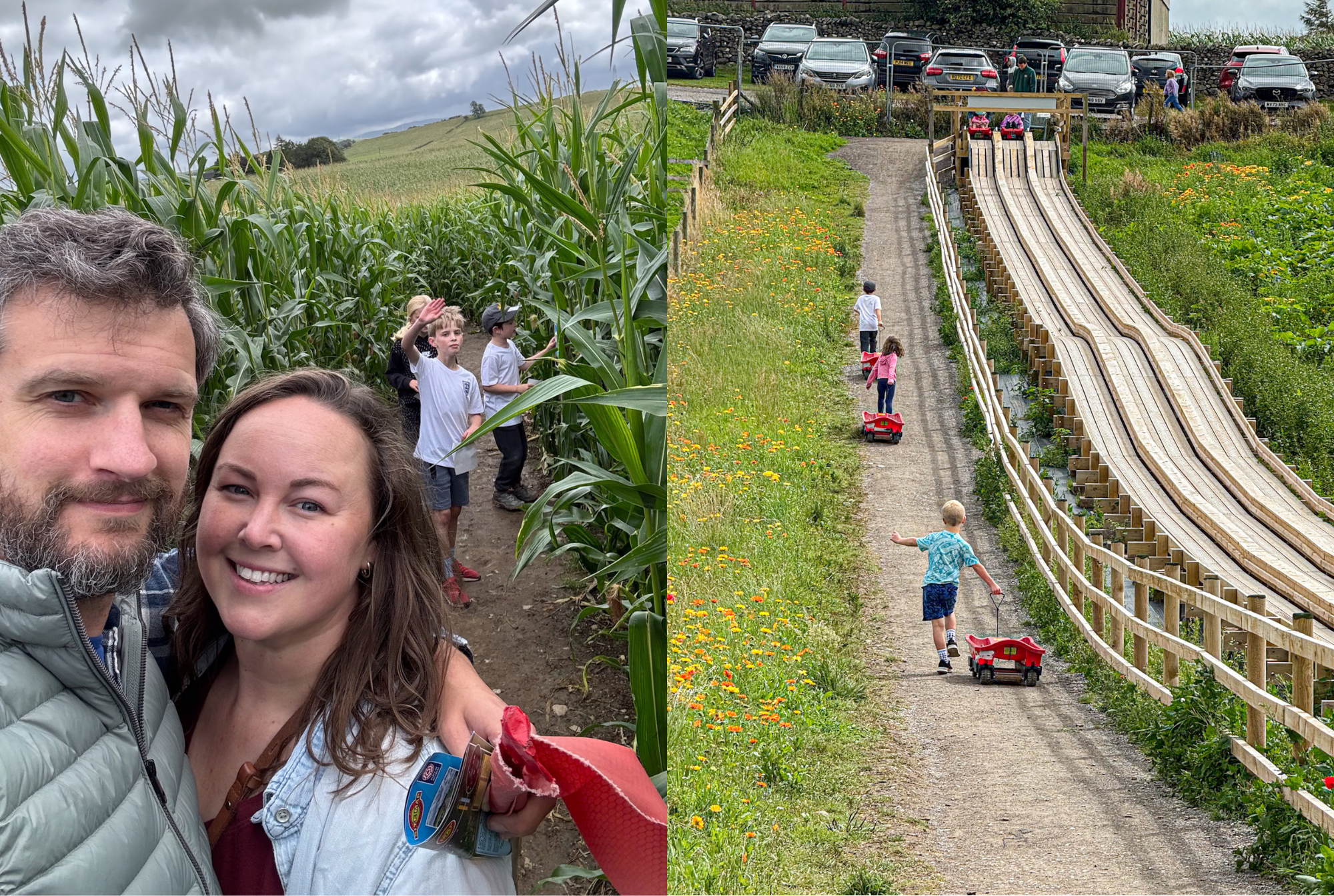 Two side by side photos showing a couple standing in a corn maize at the Lakeland maize farm park and the second shows children pulling wagons up to the top of a wooden wide in the lake district.