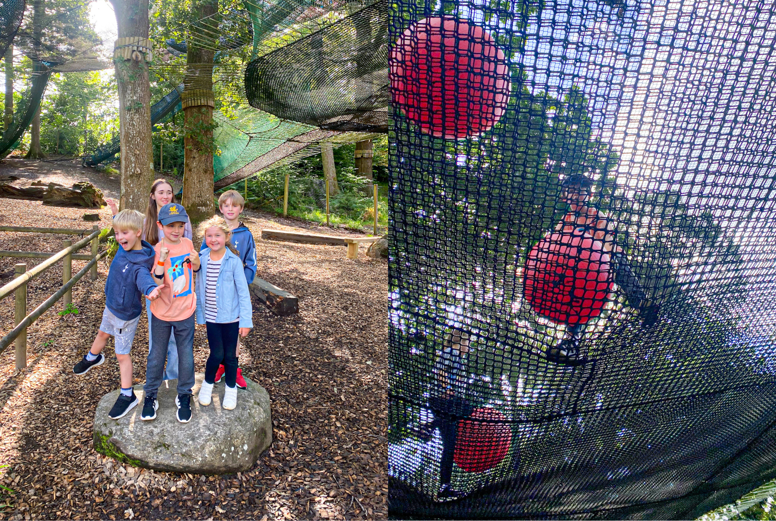 Side by side photos showing a group of 5 kids standing in front of the nets at the Brockhole Treetop nets attraction in windemere and the second picture is of a boy in the nets playing with large red balls.