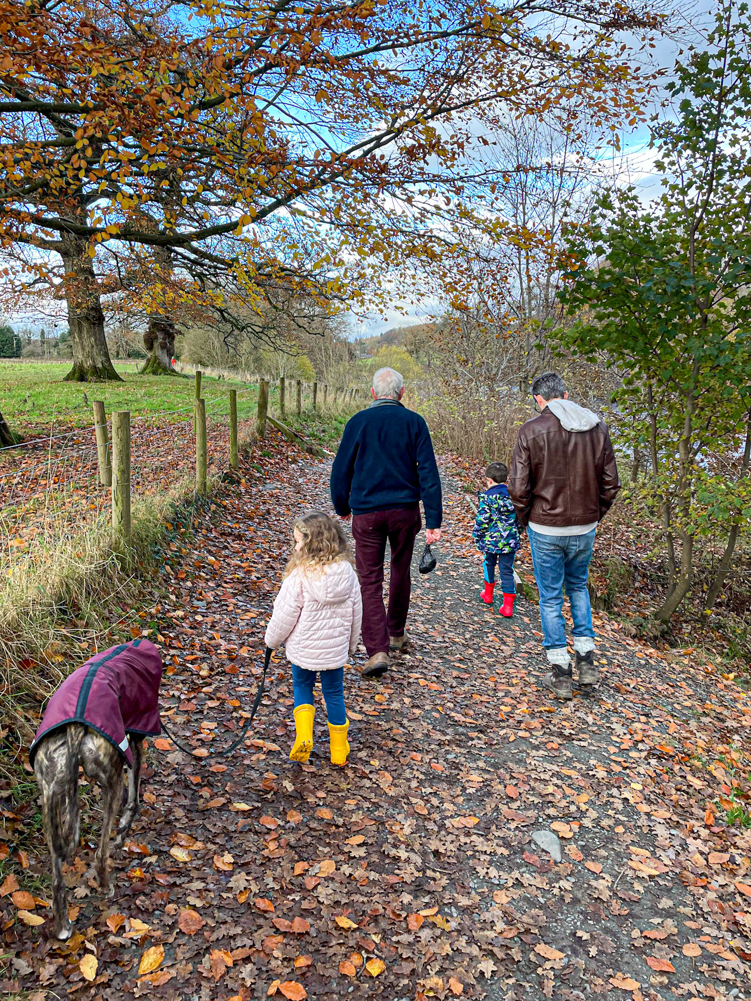 A family walks along a leaf-covered trail on a crisp autumn day. An older man, a father, and two children, one of whom is holding a leashed dog in a maroon coat, stroll under trees with golden leaves. The path is lined with a wooden fence on one side and a mix of fall foliage, creating a peaceful, seasonal English countryside scene.