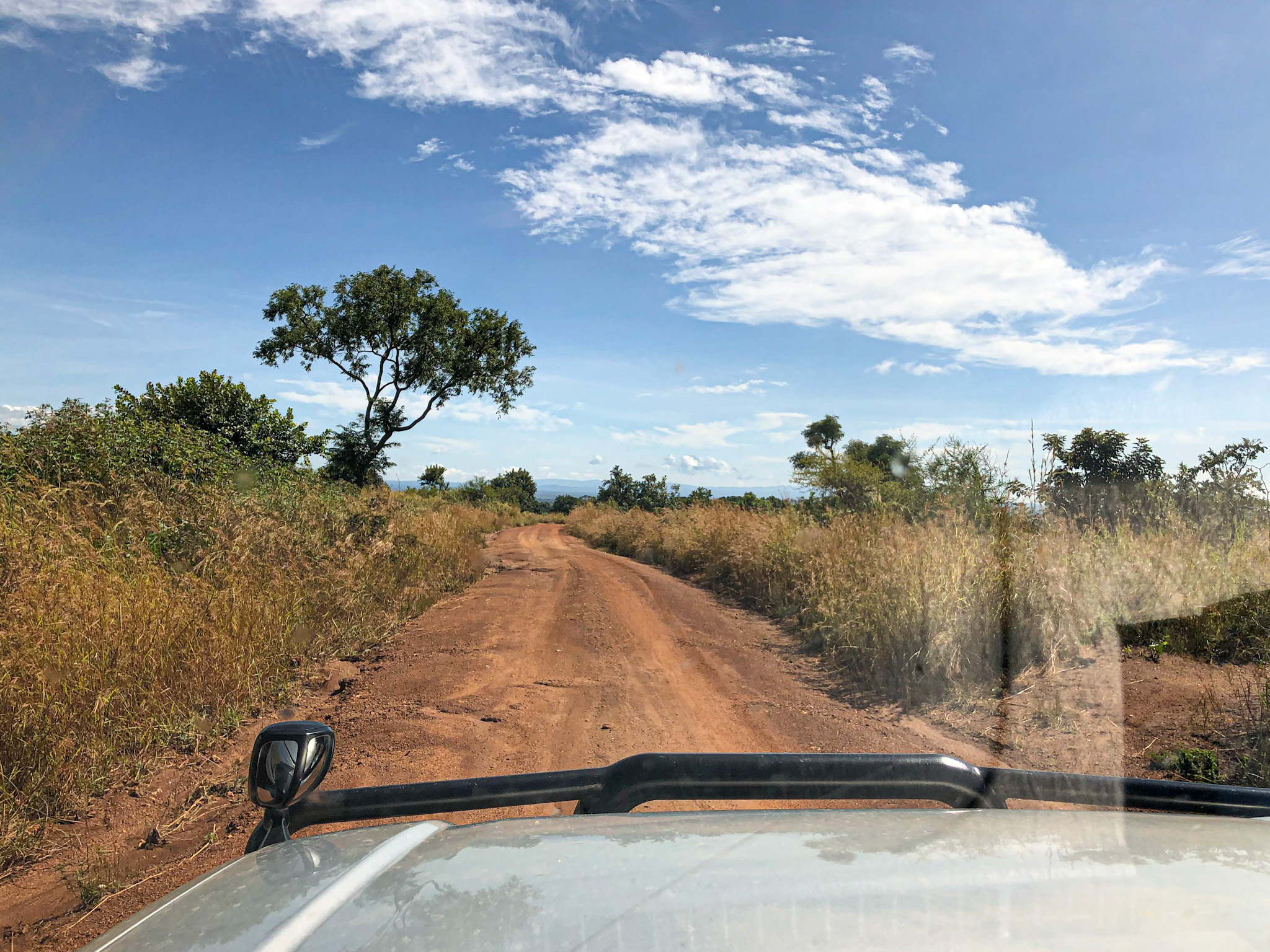 View from the front of a vehicle driving down a rural dirt road in Uganda, surrounded by tall dry grasses and scattered trees under a bright blue sky with light clouds. The road is uneven and red-toned, typical of many off-the-beaten-path routes in the countryside. The peaceful landscape suggests a remote, scenic drive through the bush.