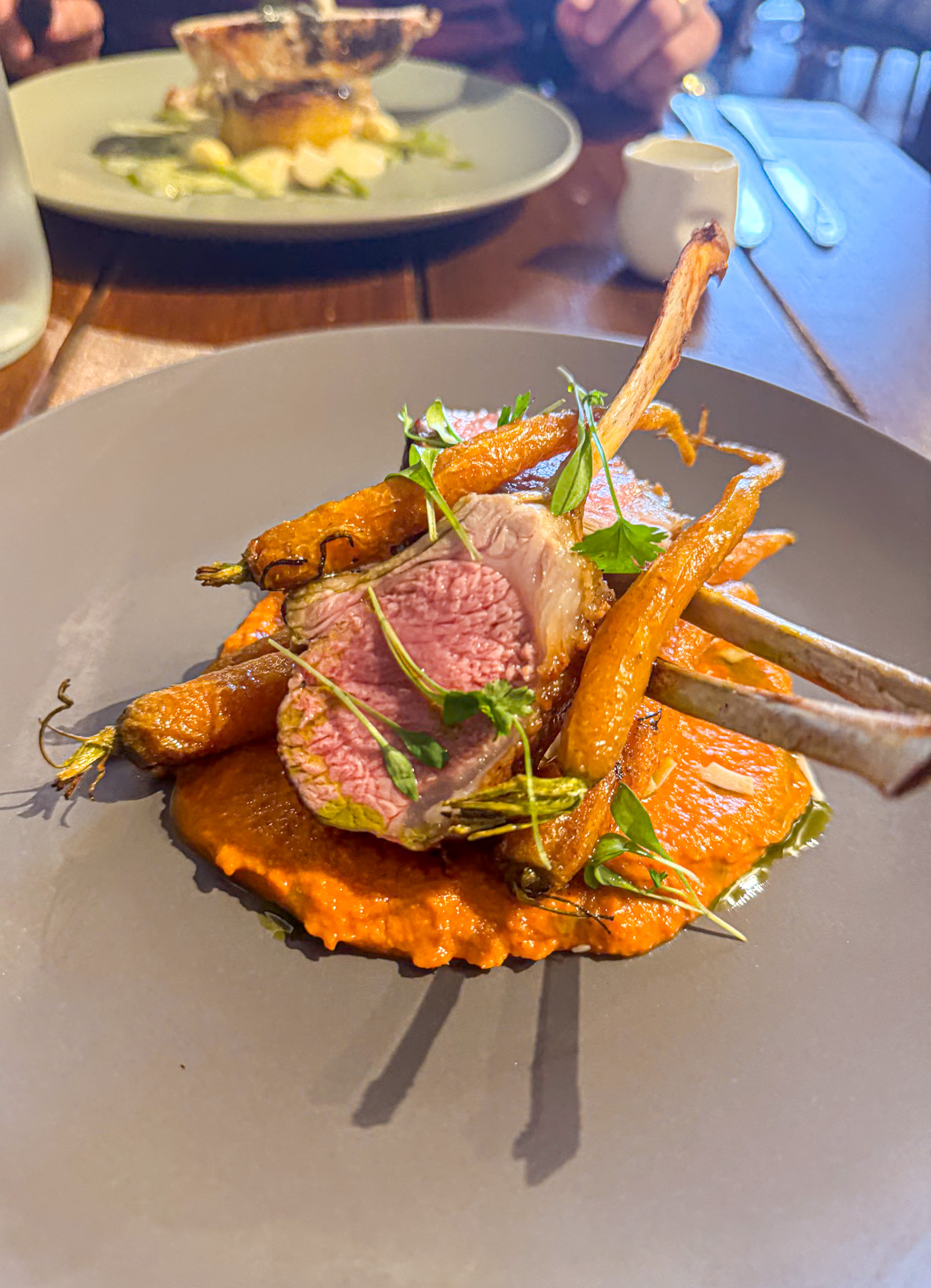 Plated rack of lamb with roasted carrots on red sauce, garnished with microgreens on a gray dish.