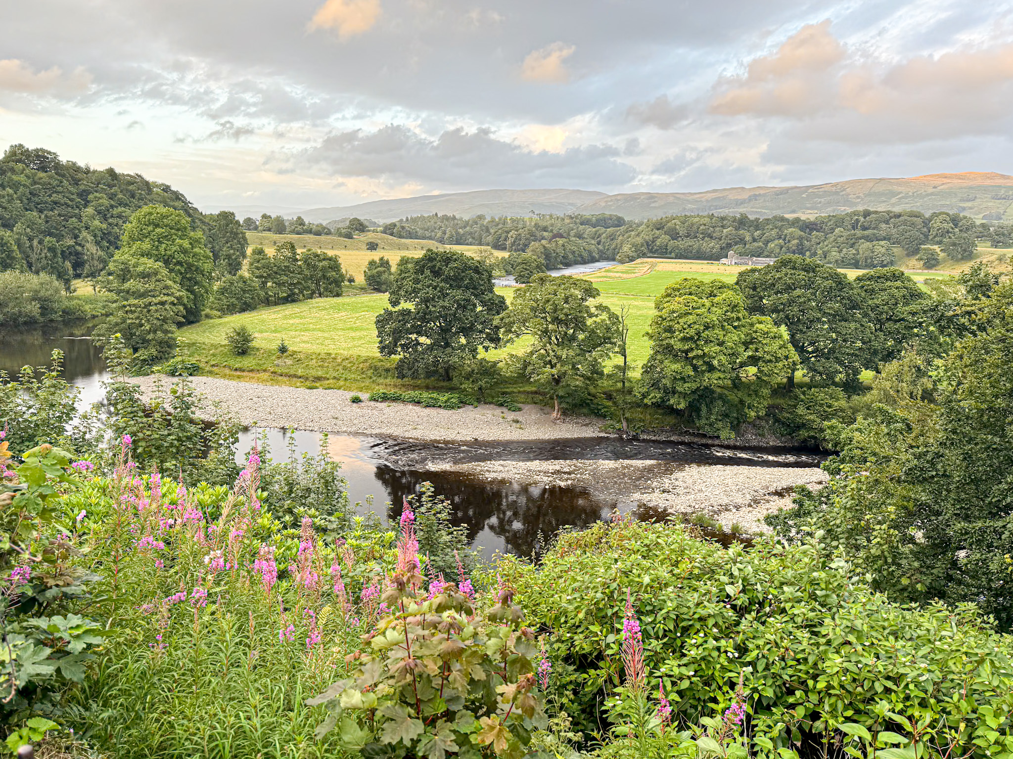 Ruskin's view in Kirkby Lonsdale, a river bends through green fields and trees, with pink wildflowers in the foreground under a cloudy sky.