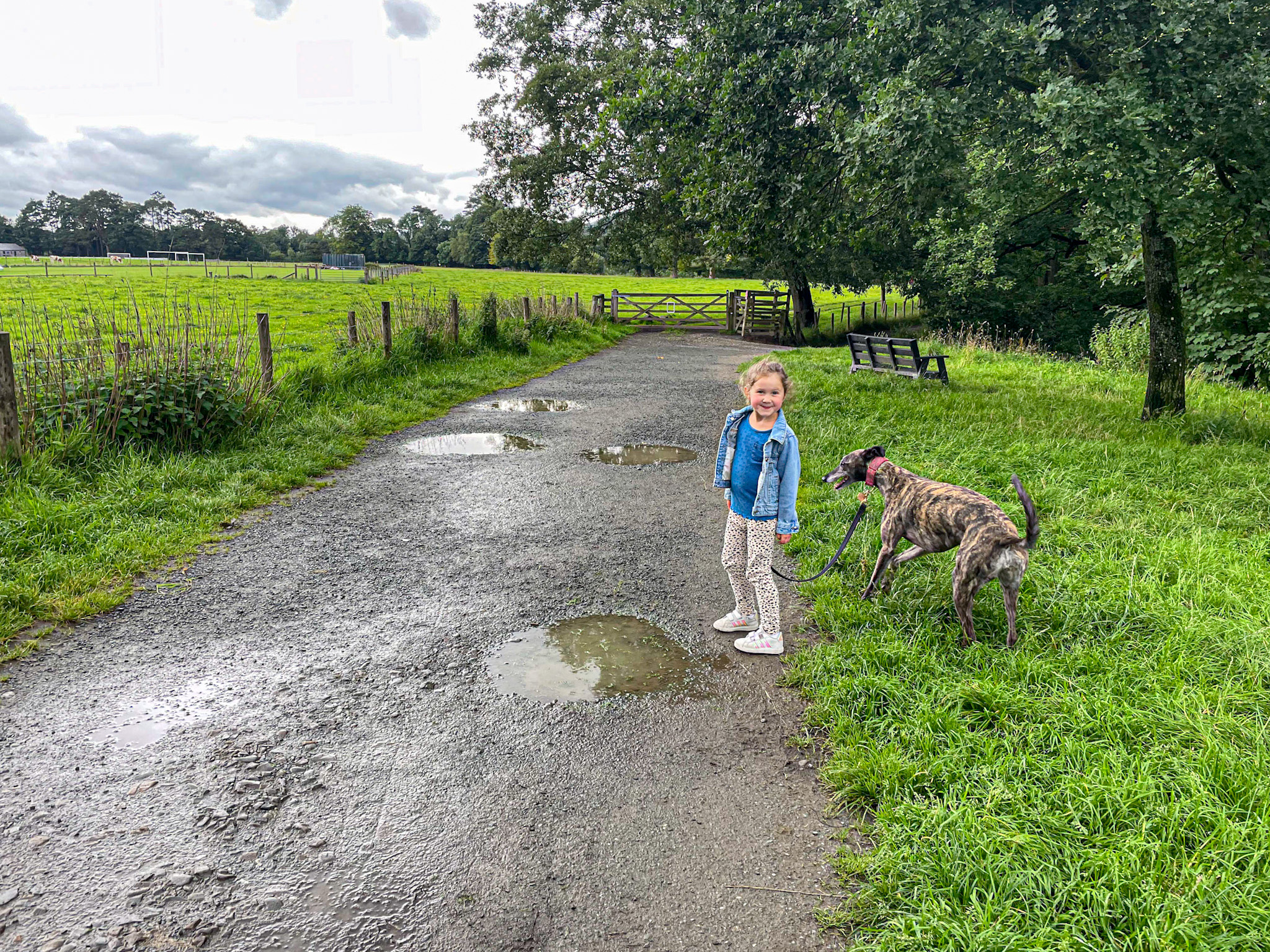 A smiling child and a dog stand on a path with puddles in a green, rural park setting.