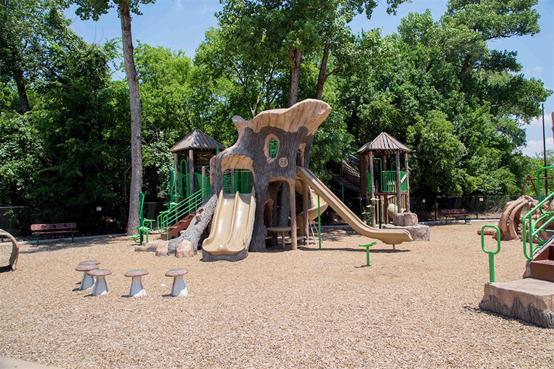 Playground at River Legacy Park with tree-themed slides, climbing structures, and woodchip ground, surrounded by green trees.