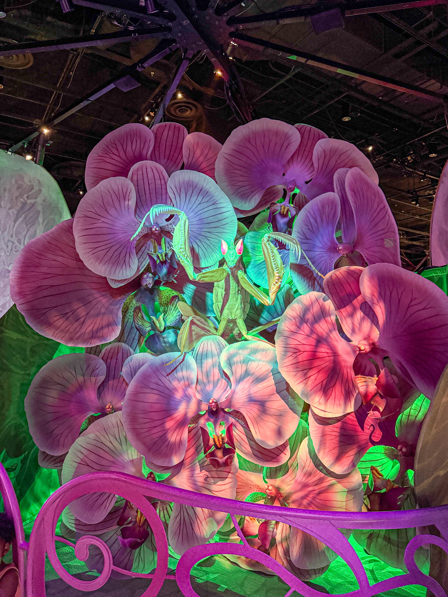 Large, glowing orchid flowers with neon lighting and fantasy elements in an indoor exhibit at Bug Lab. 