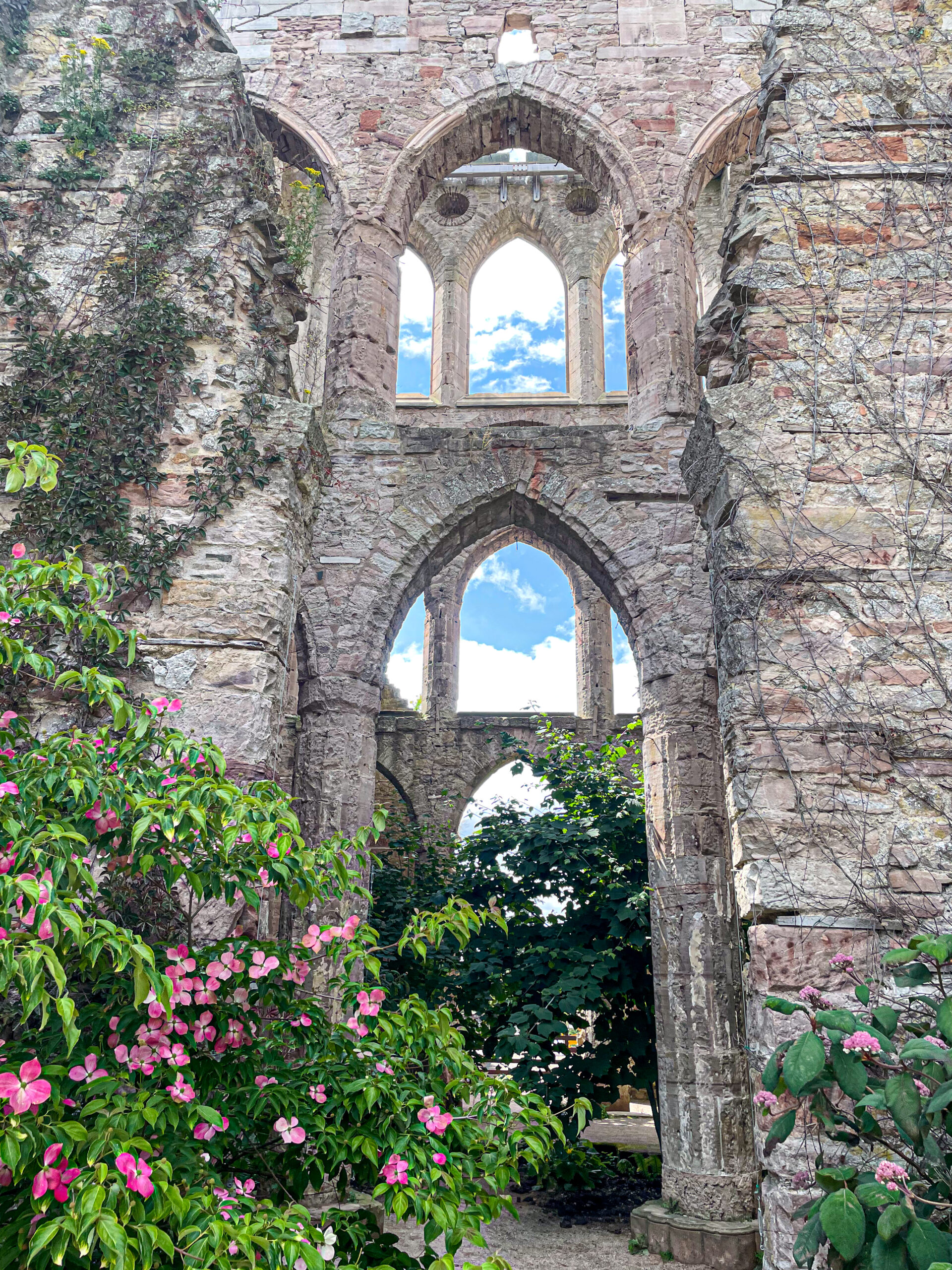 Stone ruins with tall arched windows, pink flowers, green leaves, and blue sky visible through the arches.
